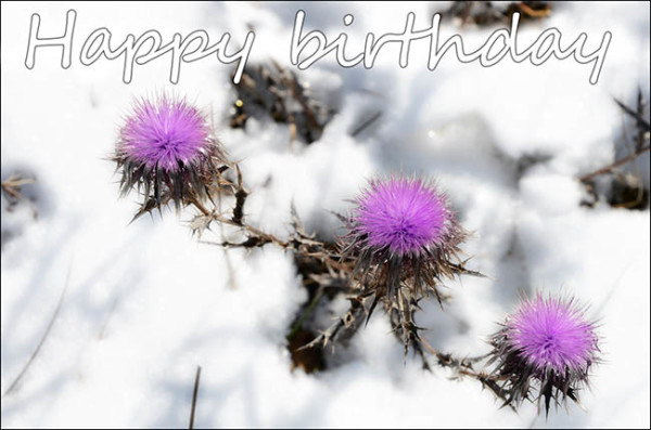 Happy Birthday Amazing Flower Images