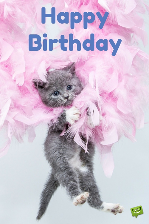Happy-Birthday-With-Cute-Cat-wb133.jpg