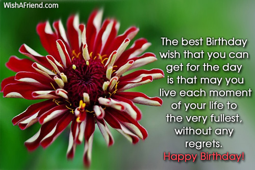 The Best Birthday Wish-wb5422